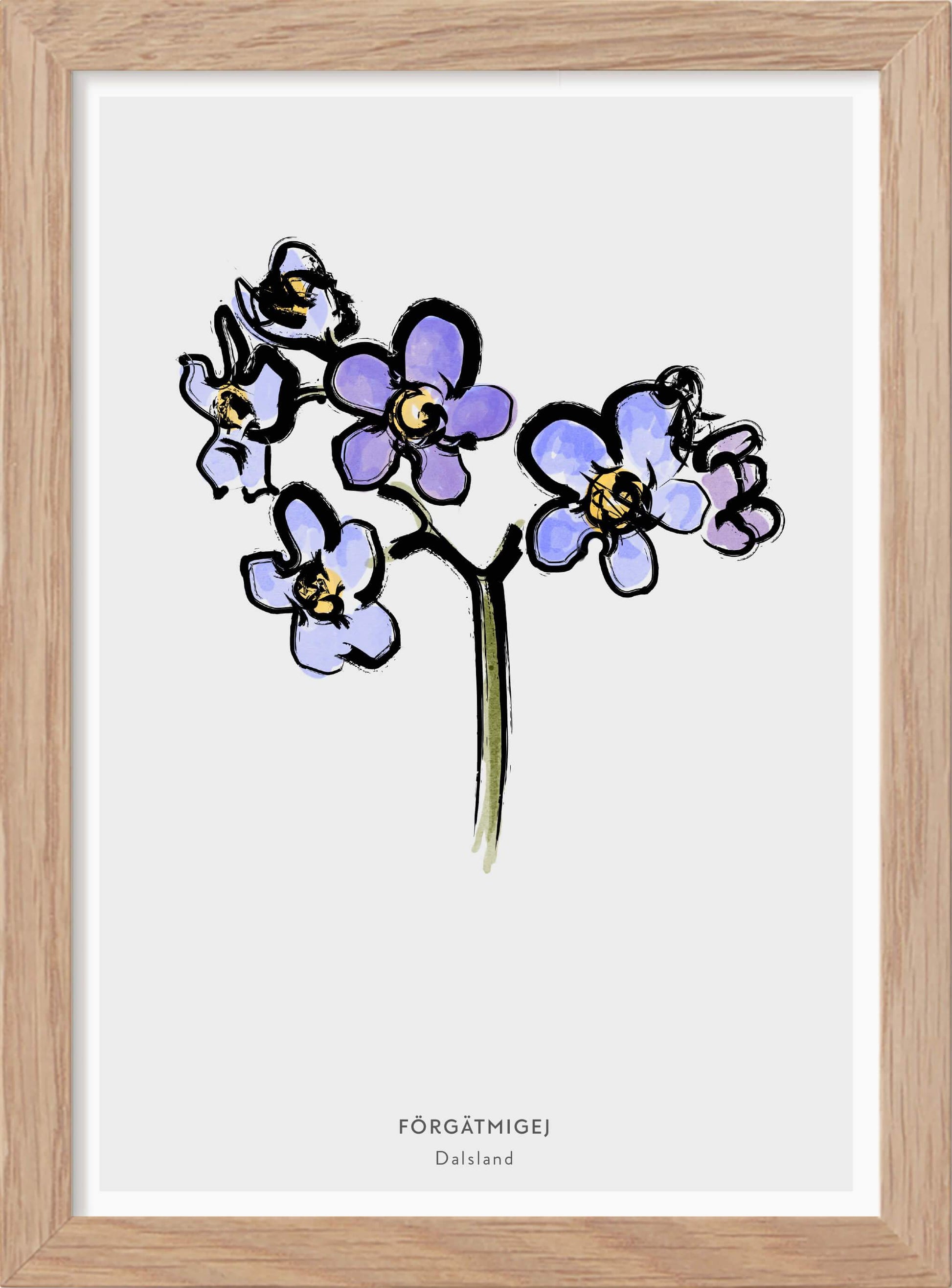 Landskapsblomma Förgätmigej - Dalsland - Mini print A5 - Kunskapstavlan